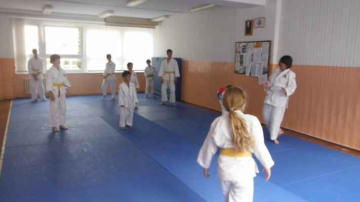 Soustředění pro oba kluby 20-21.6.2014 v dojo Praha 10 