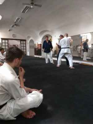 14-16.6.2019 Hiko-ryu Taijutsu, seminář Budapešť
