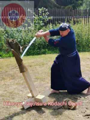 LS HIKO-RYU TAIJUTSU 2020