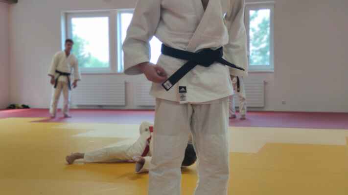 Školení rozhodčích na kata pod Franz Edlinger 6. Dan judo, rozhodčí IJF