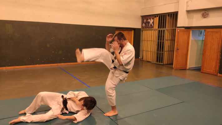 Trénink - Hiko-ryu taijutsu a kodachi-únor 2022