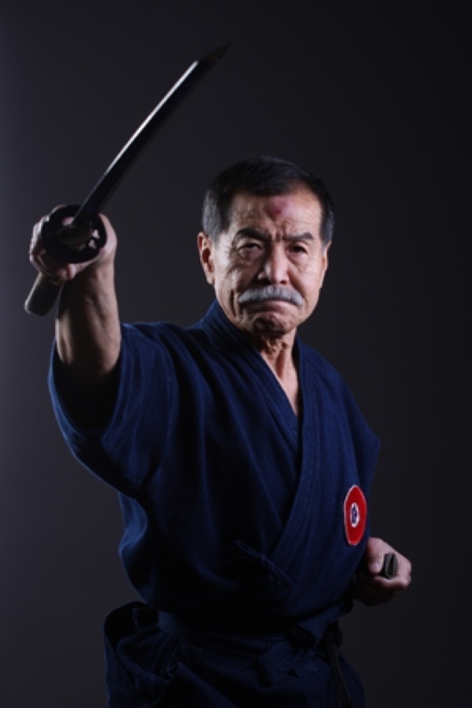 Velmistr Tanaka