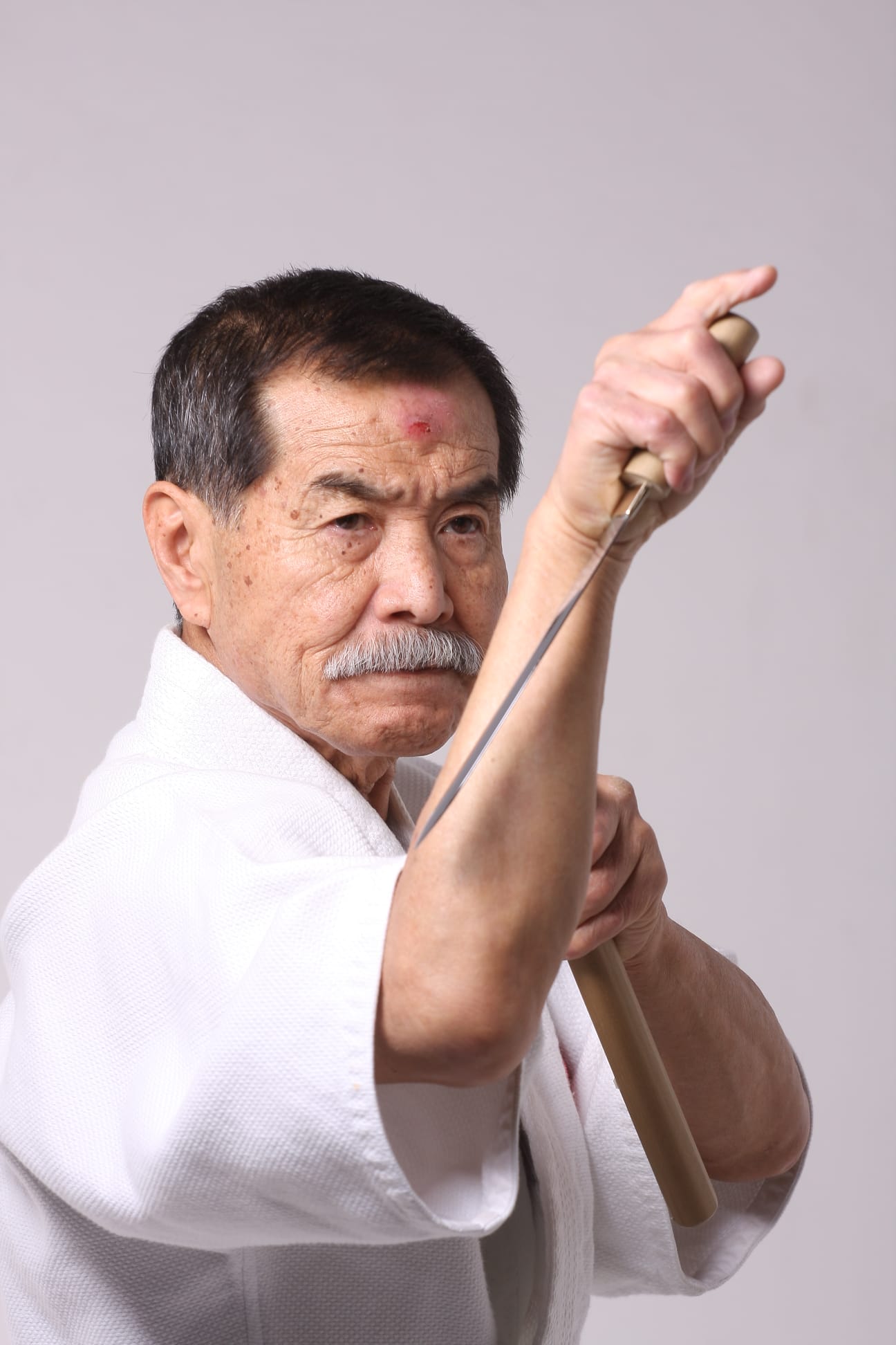 Velmistr Koshiro Tanaka – Hiko-ryu Taijutsu