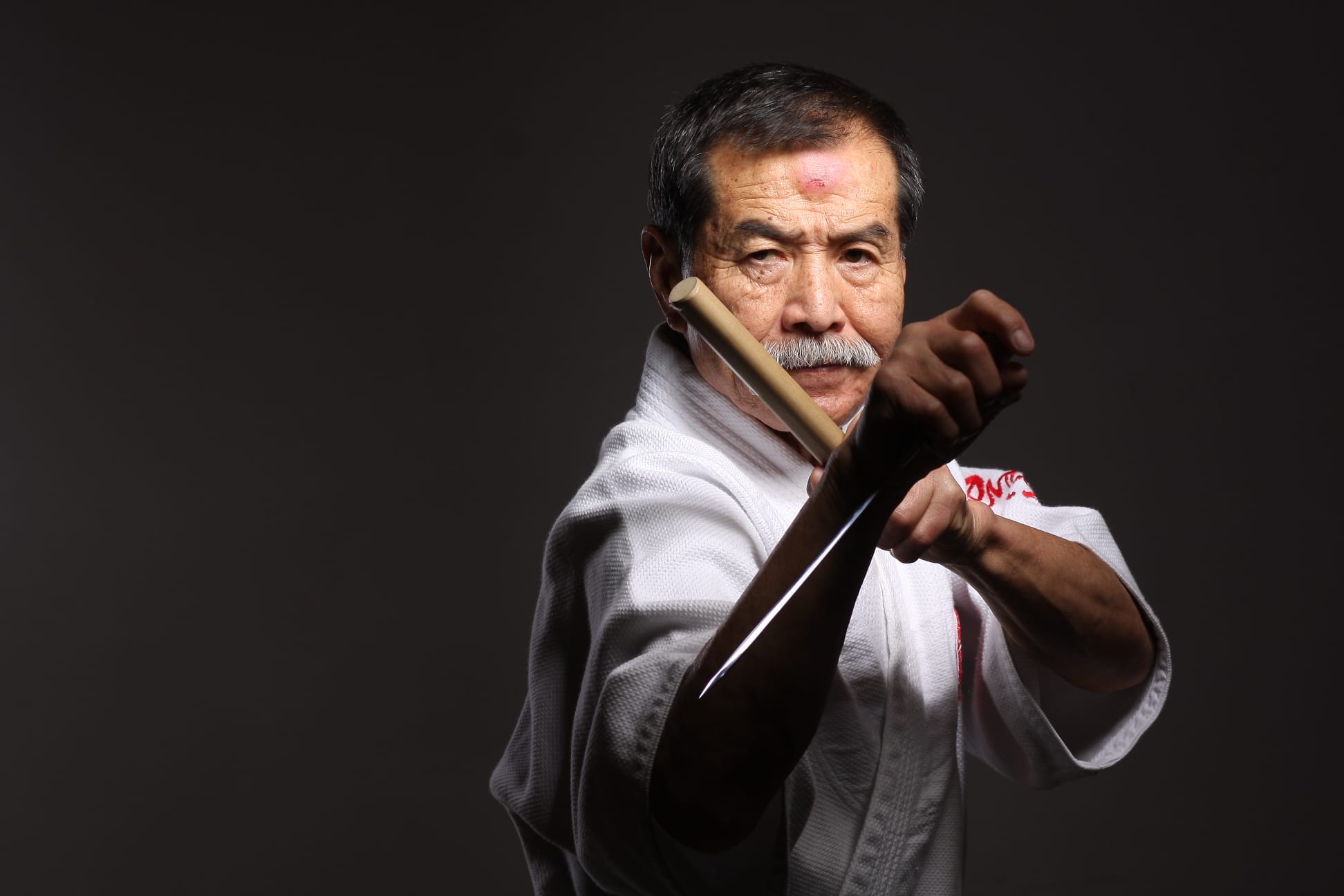 Velmistr Koshiro Tanaka – Hiko-ryu Taijutsu